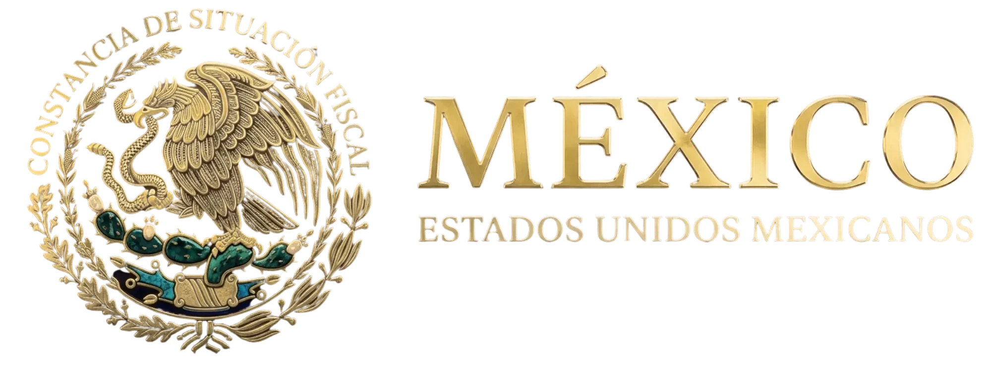 Constancia de Situación Fiscal