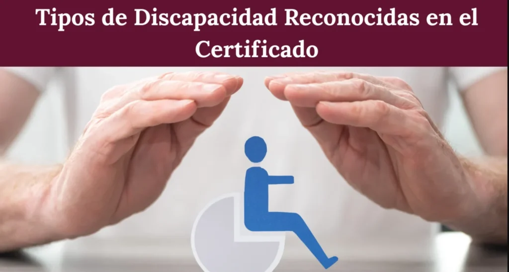 Tipos de discapacidad reconocidas en el certificado